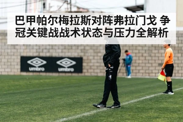 巴甲帕尔梅拉斯对阵弗拉门戈 争冠关键战战术状态与压力全解析（KaiyunSports）